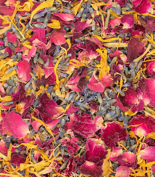 Burgundy Selection - Biodegradable Calendula and Lavender Confetti