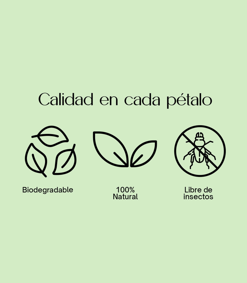 Elegance – Confeti biodegradable de lavanda y jazmín