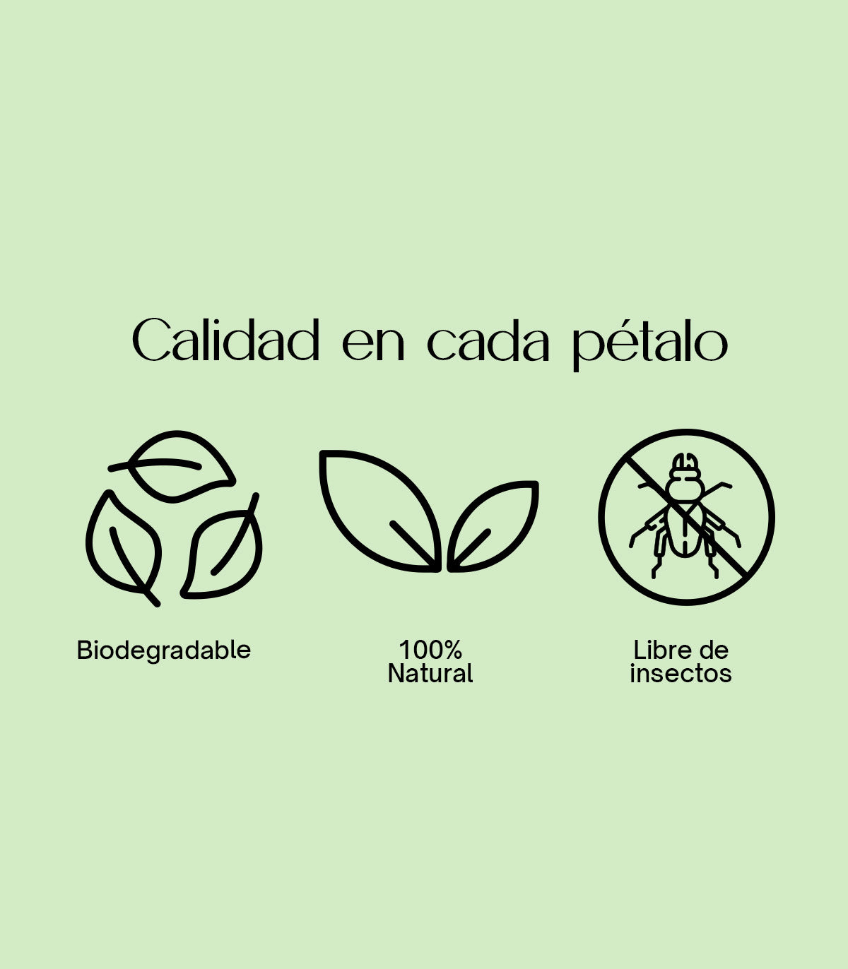 Elegance – Confeti biodegradable de lavanda y jazmín